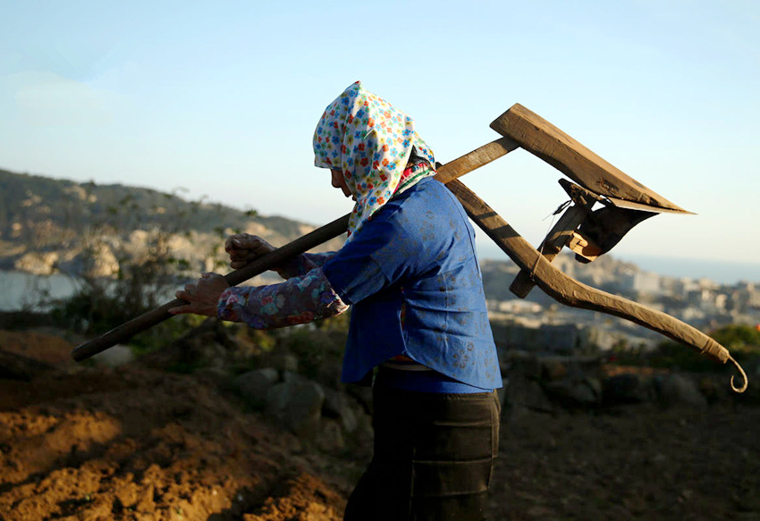 ?? ??? ?? ??? ??? ??? ???