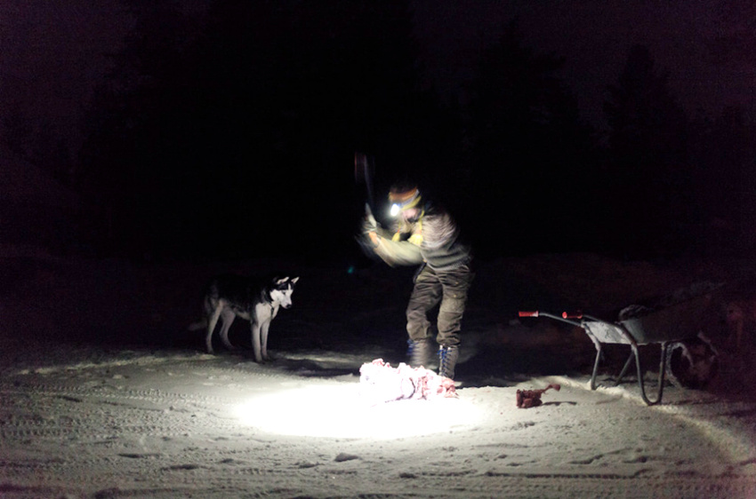 ???? ??? ?? ?? ????? ???