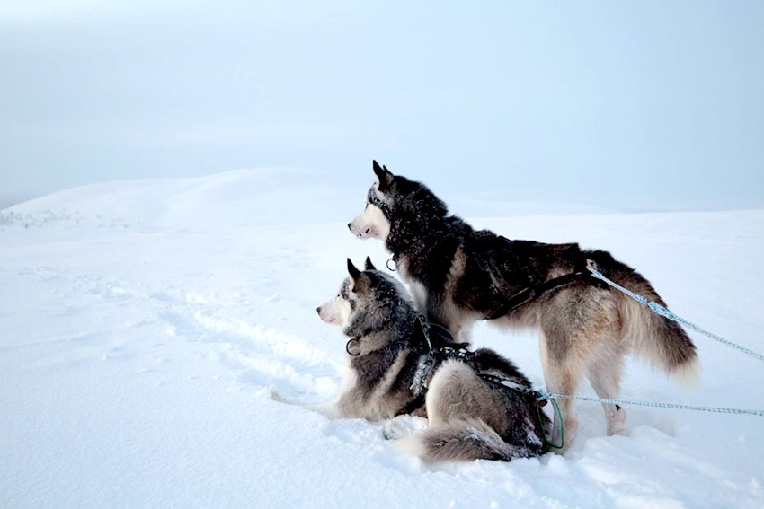 ???? ??? ?? ?? ????? ???