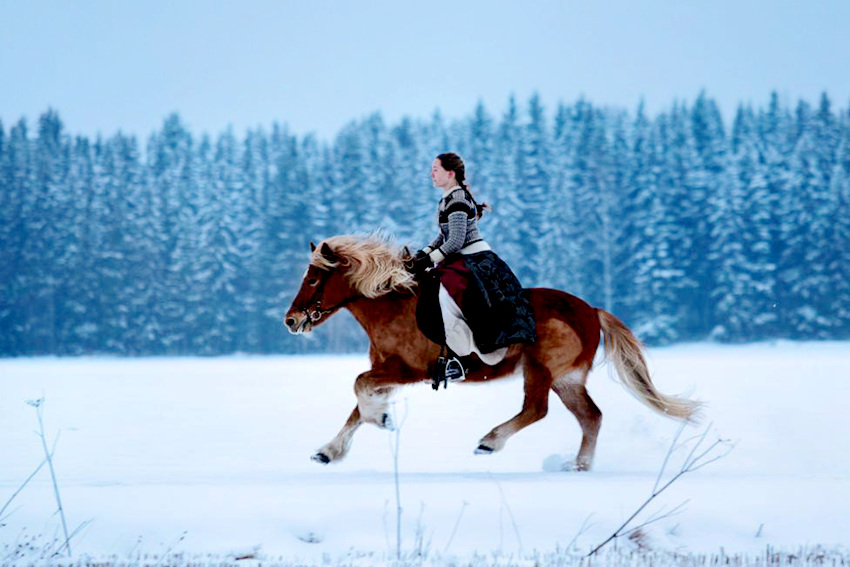 ???? ??? ?? ?? ????? ???