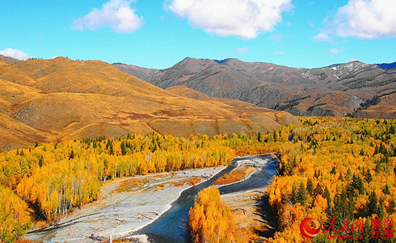 ?? ??? ??, ? ?? ???? ??? ??