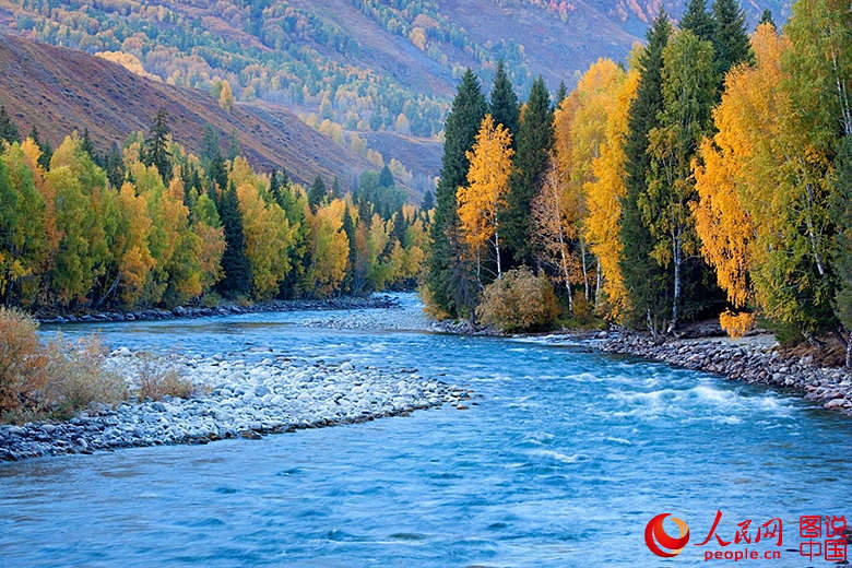 ?? ??? ??, ? ?? ???? ??? ??