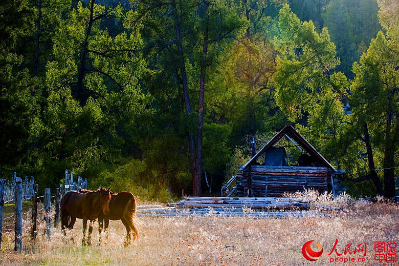 ?? ??? ??, ? ?? ???? ??? ??