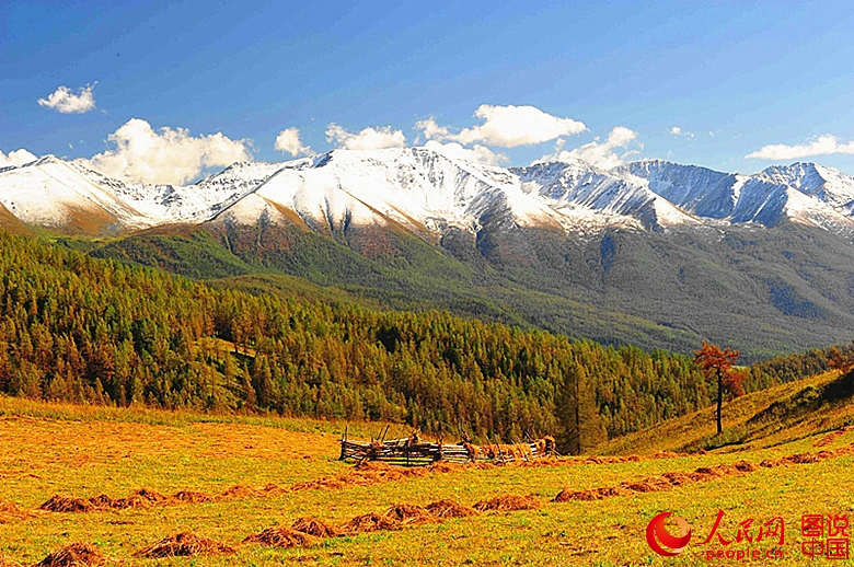 ?? ??? ??, ? ?? ???? ??? ??