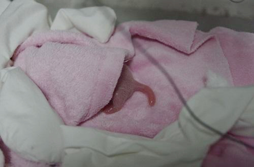 2016 ?? ??? ?? ??, ??? ??