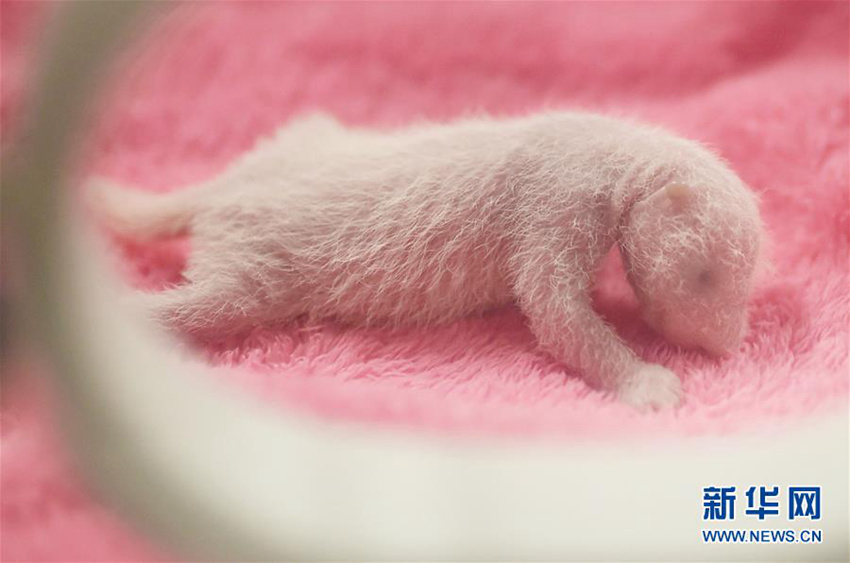 2016 ?? ??? ?? ??, ??? ??