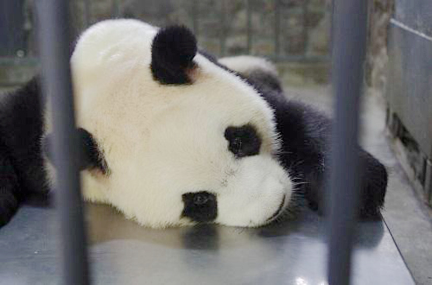 2016 ?? ??? ?? ??, ??? ??