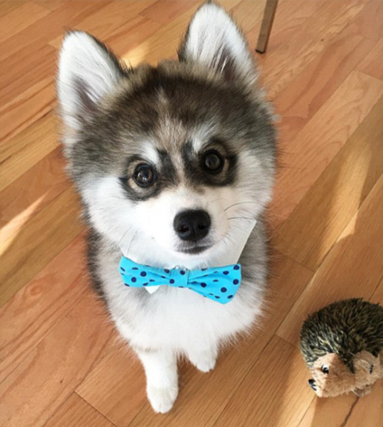 ‘?? ????’ ??? ???? ??