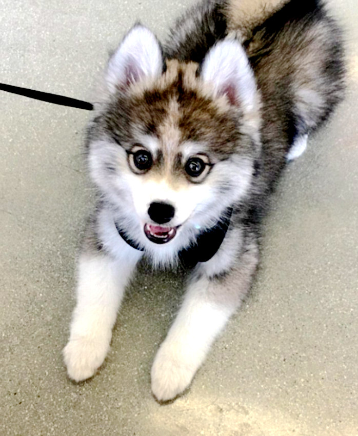 ‘?? ????’ ??? ???? ??