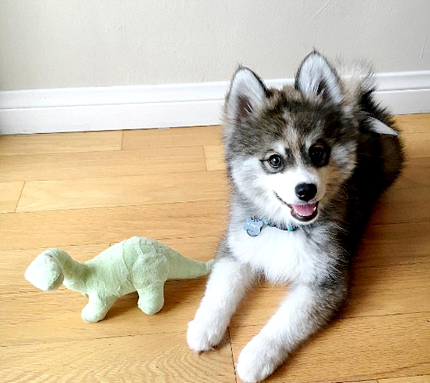 ‘?? ????’ ??? ???? ??