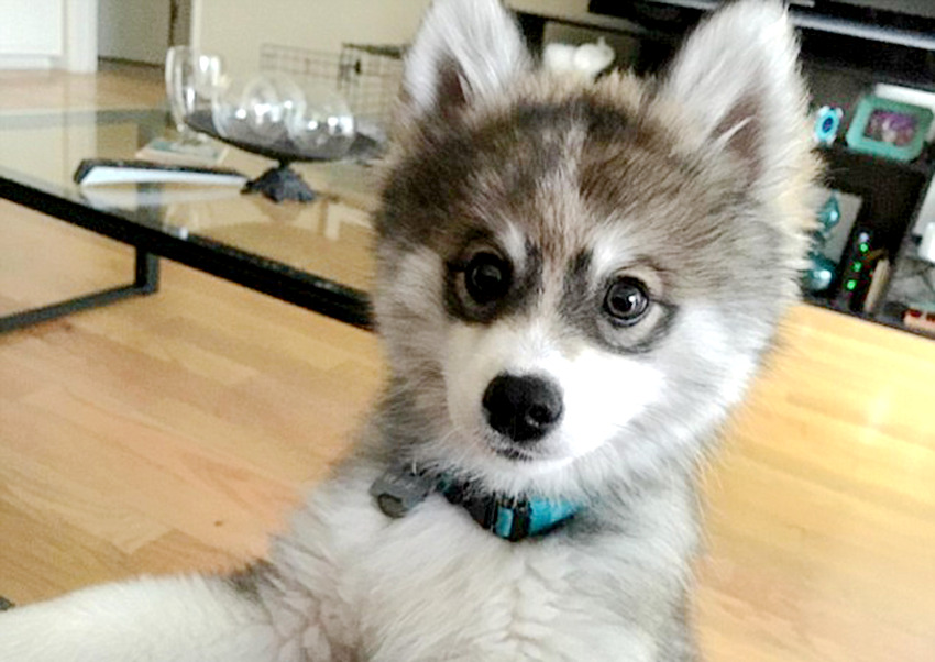 ‘?? ????’ ??? ???? ??