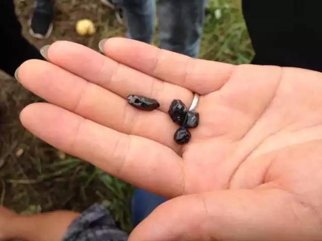 ?? ?? ??? ?? ?? ?? ?? ? ???