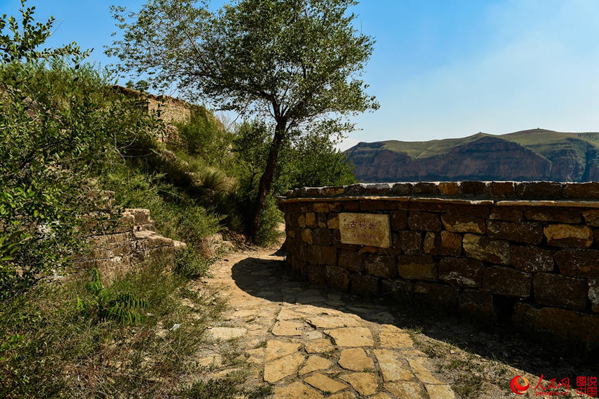 ?? ???? ?? TOP 10 ‘????’