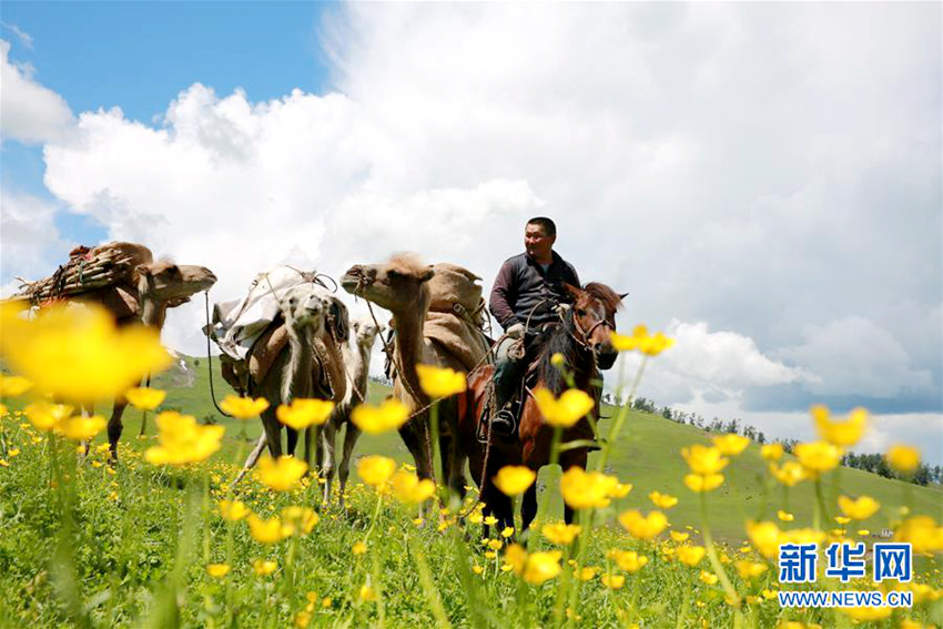 ?? ????, ???? ????? ?? ???