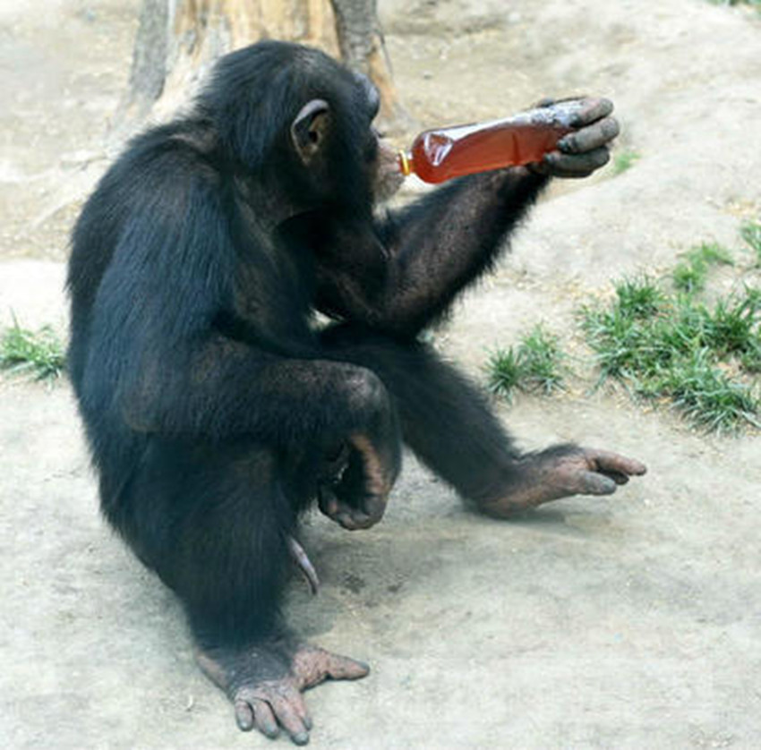 ???? ?? ??？ ?? ??, ??? ???