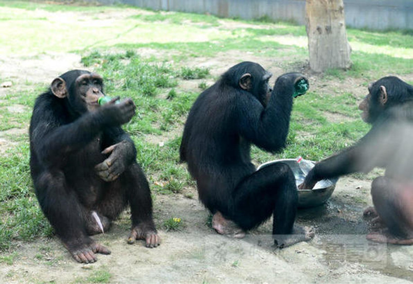 ???? ?? ??？ ?? ??, ??? ???