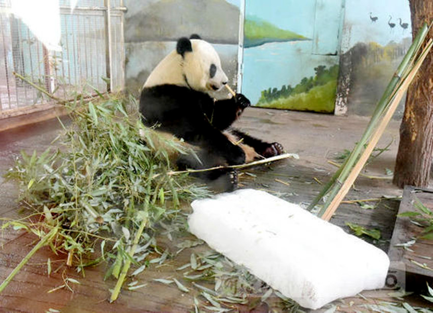 ???? ?? ??？ ?? ??, ??? ???