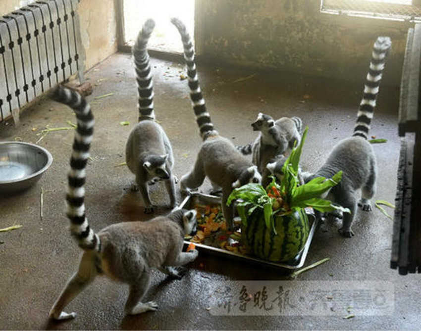 ???? ?? ??？ ?? ??, ??? ???