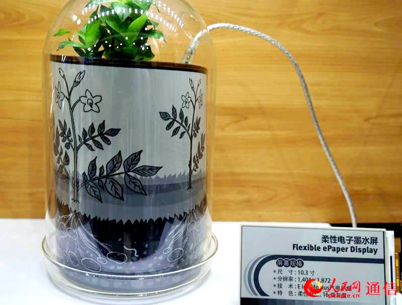 ??? ?? ???? ??? 2016, ??? ??? ??