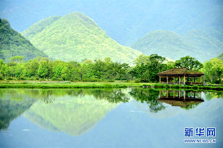 ???(神農架)???(大九湖)