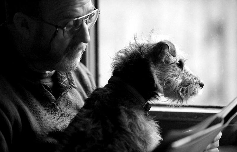 ???? ??? ???, ?????!