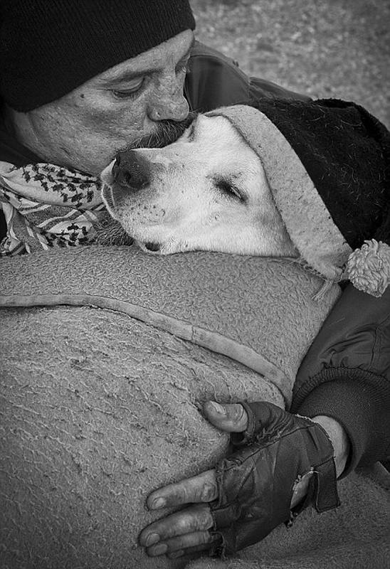 ???? ??? ???, ?????!