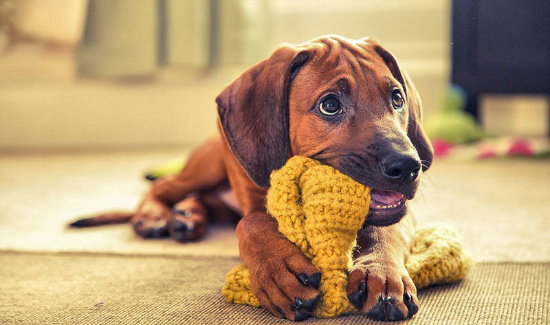 ???? ??? ???, ?????!