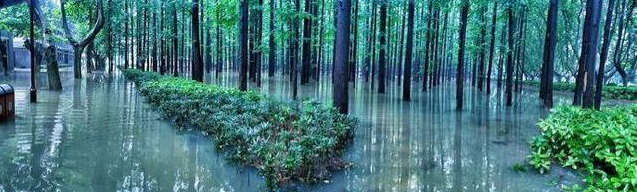 ?? ???? ?????, ???? ?? ??!