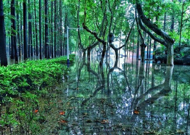 ?? ???? ?????, ???? ?? ??!