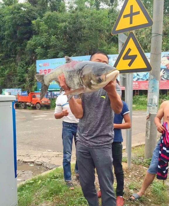 ?? ??? ??, ? ??? ?? ????