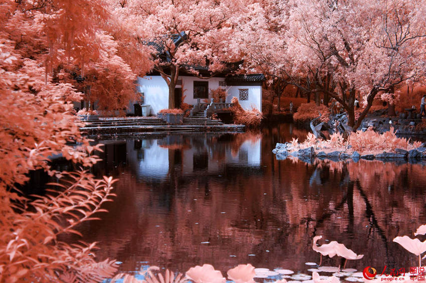 ??? ???? ??? ???, ?? ?? ??