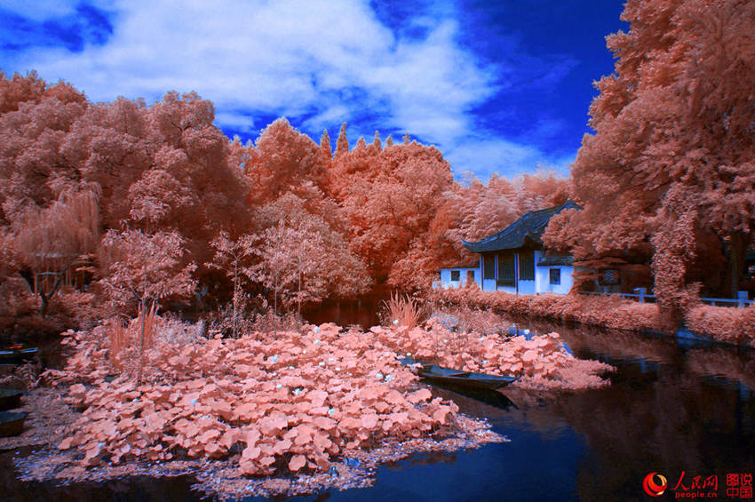 ??? ???? ??? ???, ?? ?? ??