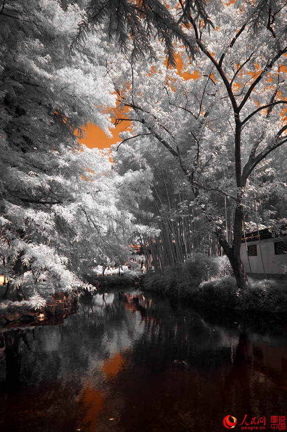 ??? ???? ??? ???, ?? ?? ??