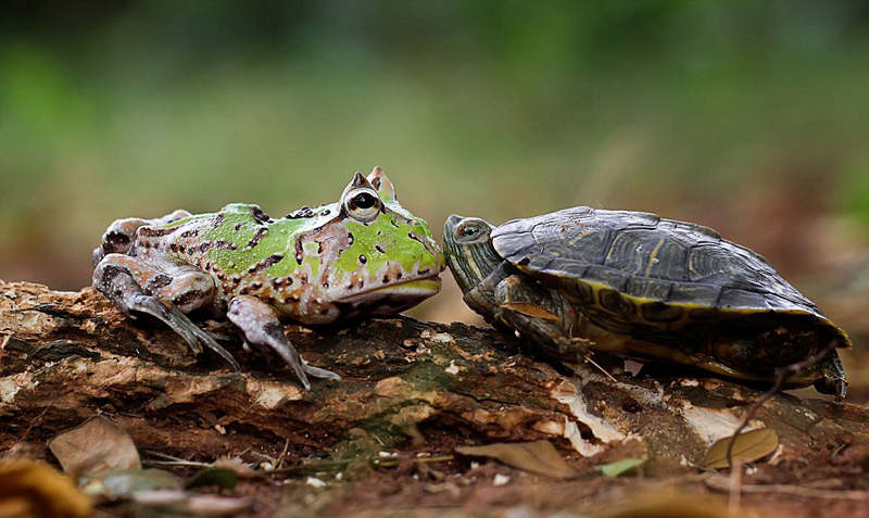 ??? ?? ??? ????, ??? ???…