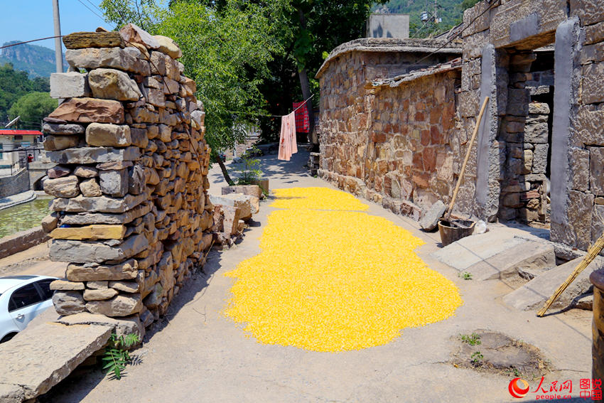 ??? ? ??? ?? ???, ??? ??? ??