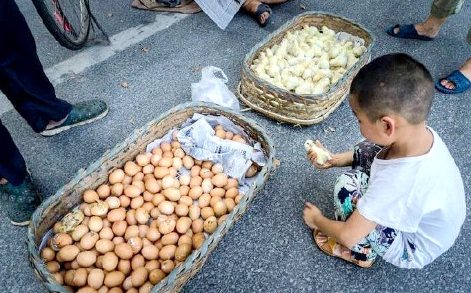 ?? 50? ?? ??, ??? ???