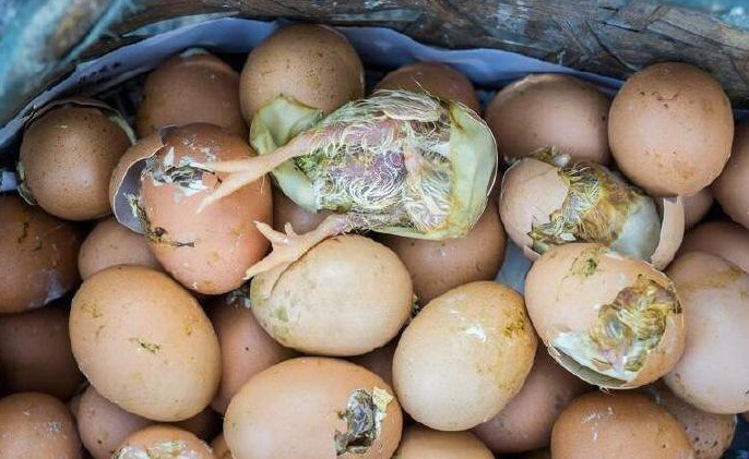 ?? 50? ?? ??, ??? ???