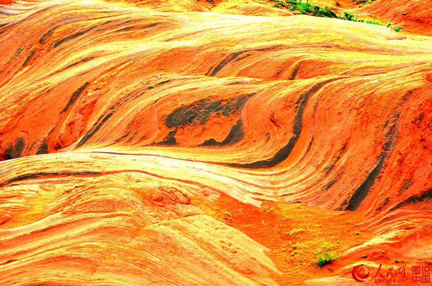 ??? ?? ??? ????, ‘?? ???’