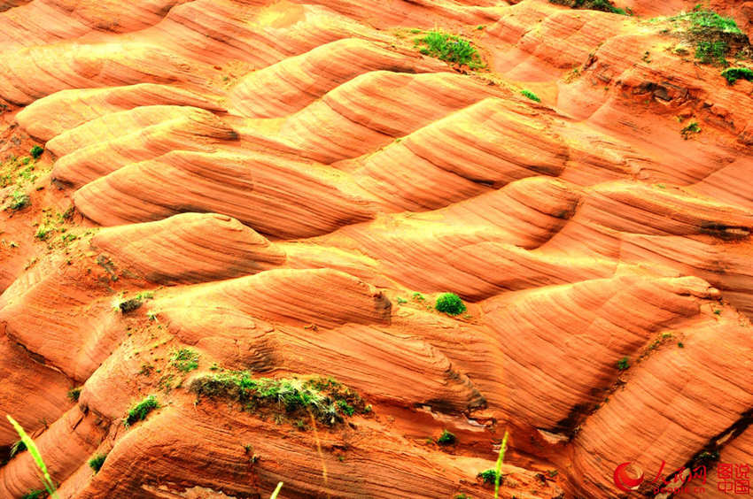 ??? ?? ??? ????, ‘?? ???’