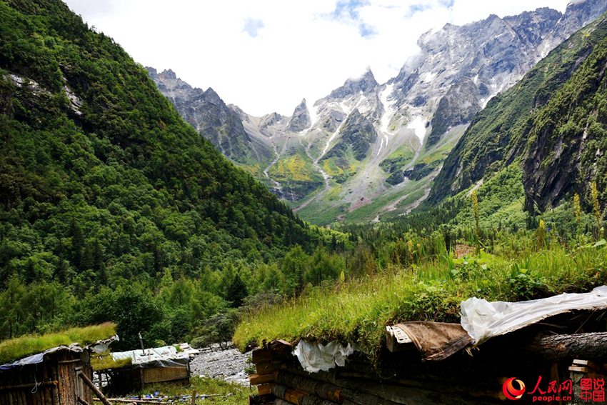 ?????, ???? ??? ‘??? ???’