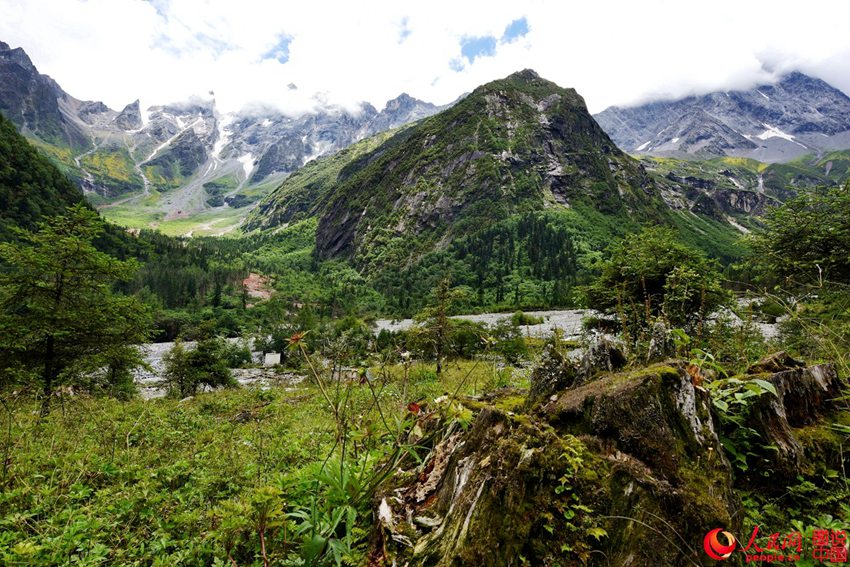 ?????, ???? ??? ‘??? ???’