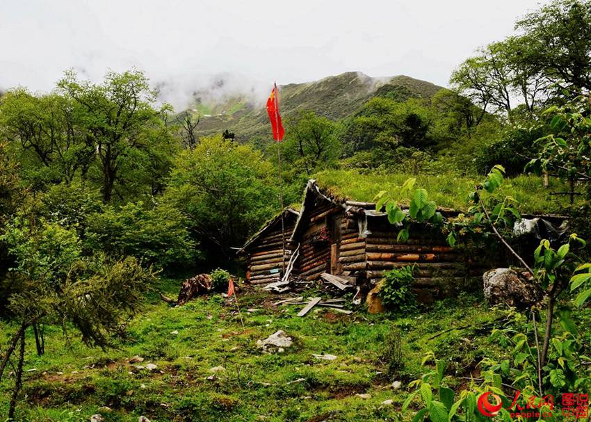 ?????, ???? ??? ‘??? ???’