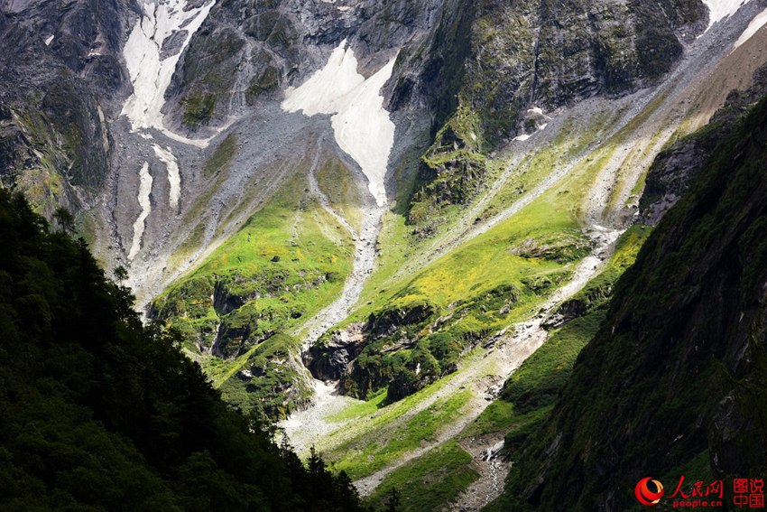 ?????, ???? ??? ‘??? ???’