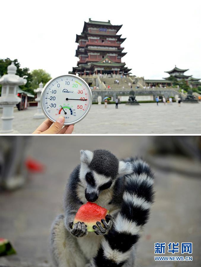 ?? ?? ??, ???? ??? ????? ??