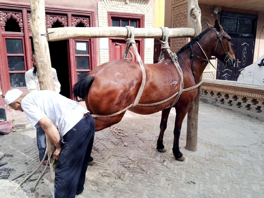 ?? ??, ?? ?? ???? ??? ??