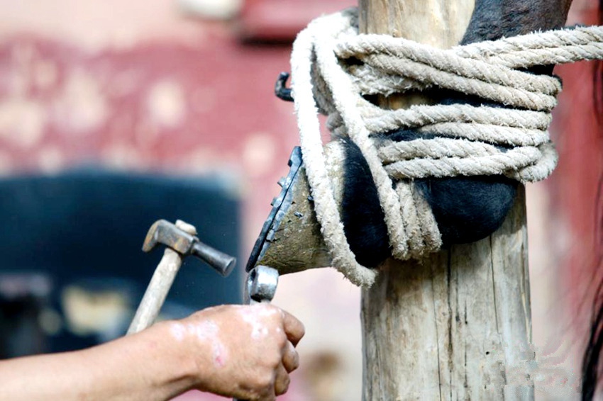 ?? ??, ?? ?? ???? ??? ??