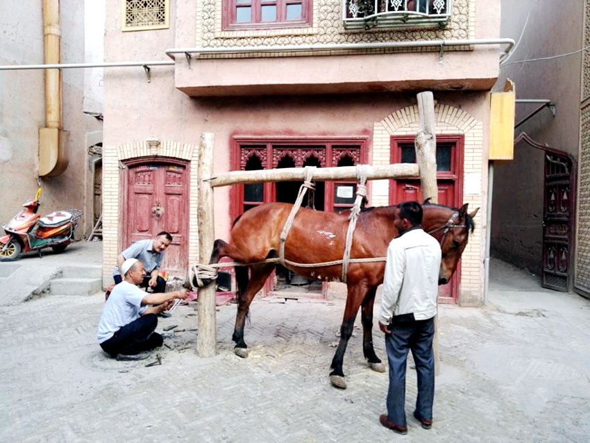 ?? ??, ?? ?? ???? ??? ??