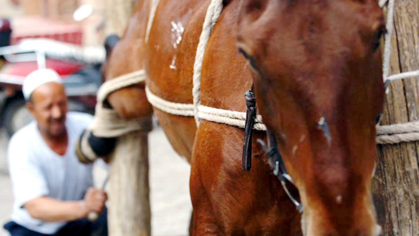 ?? ??, ?? ?? ???? ??? ??