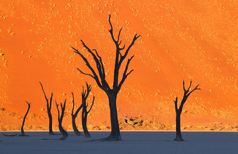 ???? ???? ?? ??, ?? ? ??