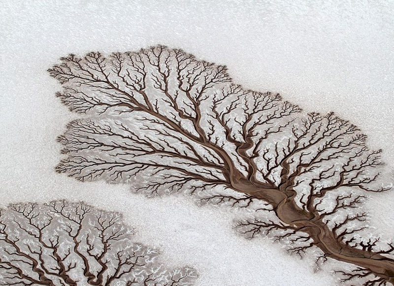 ???? ???? ?? ??, ?? ? ??